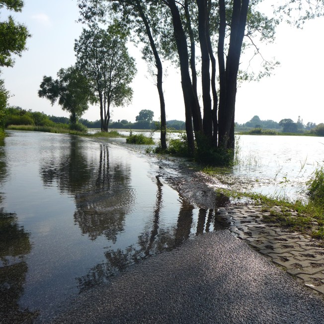 Fluss-Räume P1020879